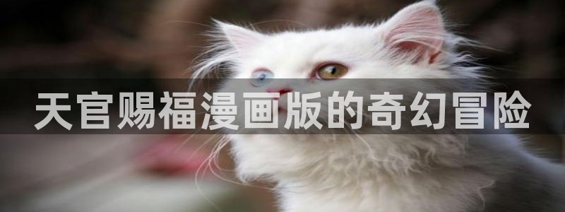 51漫画app版下载：天官赐福漫画版的奇幻冒险