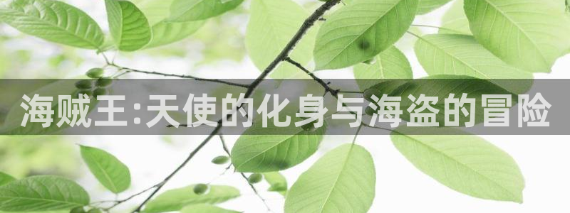 51漫画com.itcode.reader破解：海贼王:天使的化身与海盗的冒险